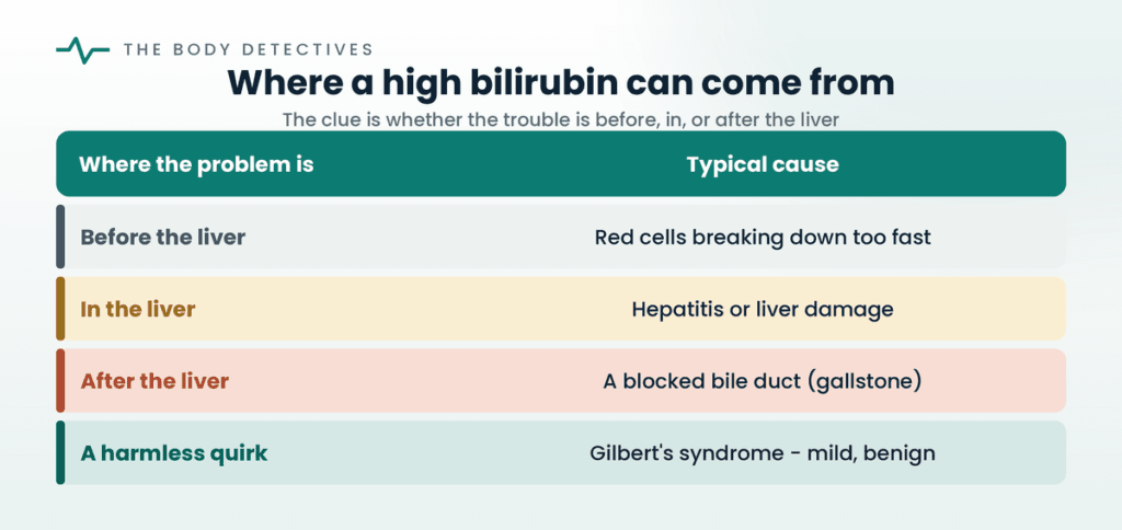 high bilirubin causes chart