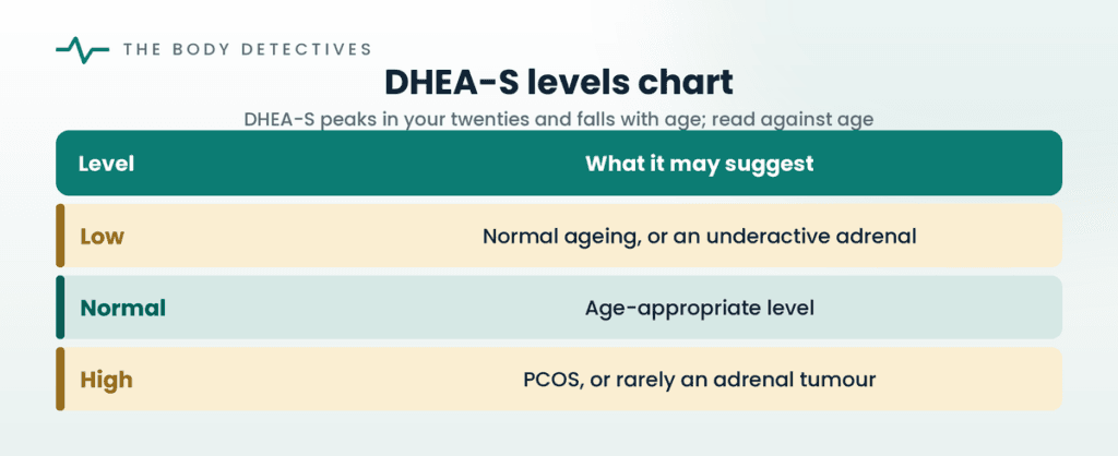 DHEA-S levels chart