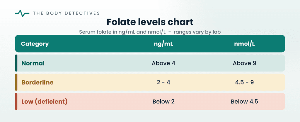 folate levels chart