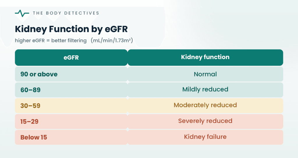 kidney function eGFR chart