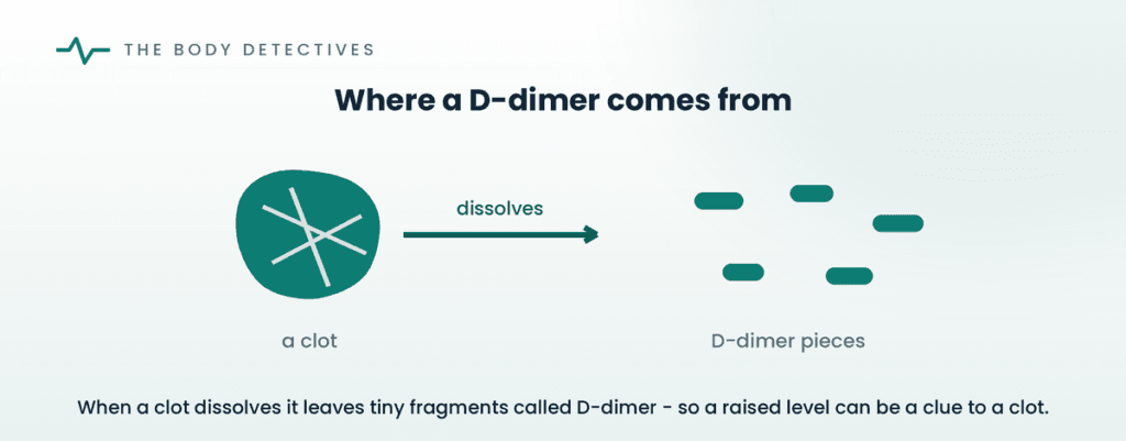 D-dimer clot breakdown diagram