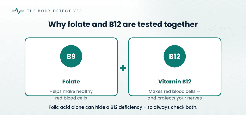 folate and vitamin B12 diagram