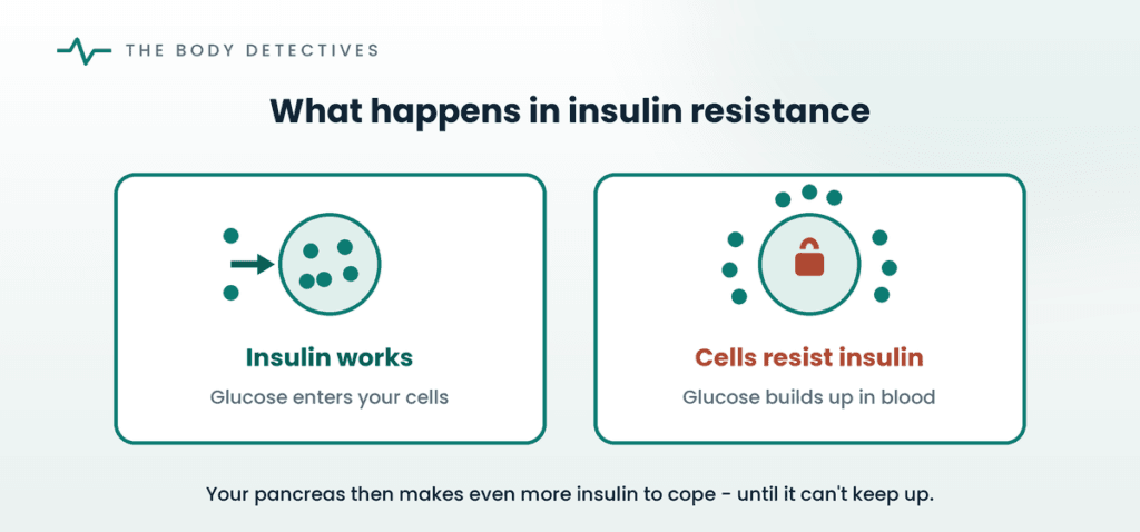 how insulin resistance works diagram
