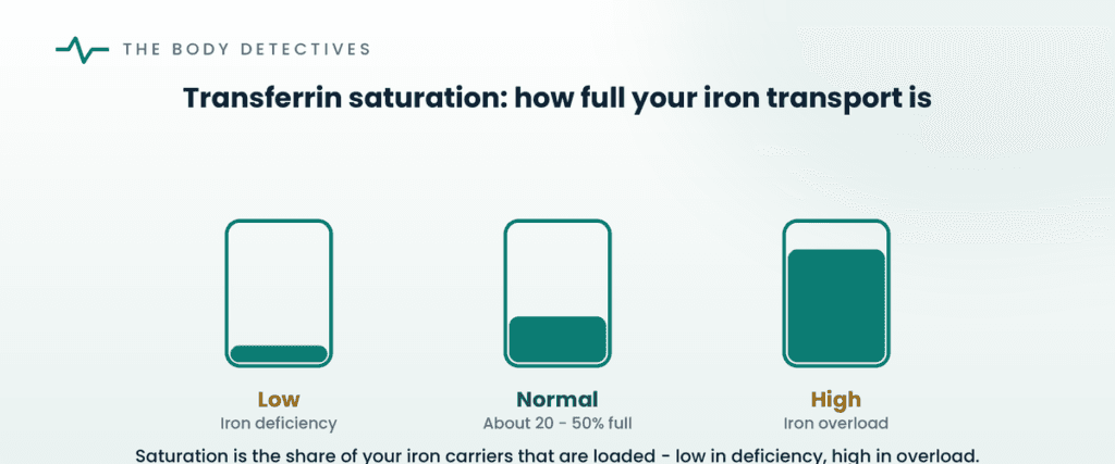 transferrin saturation explained diagram