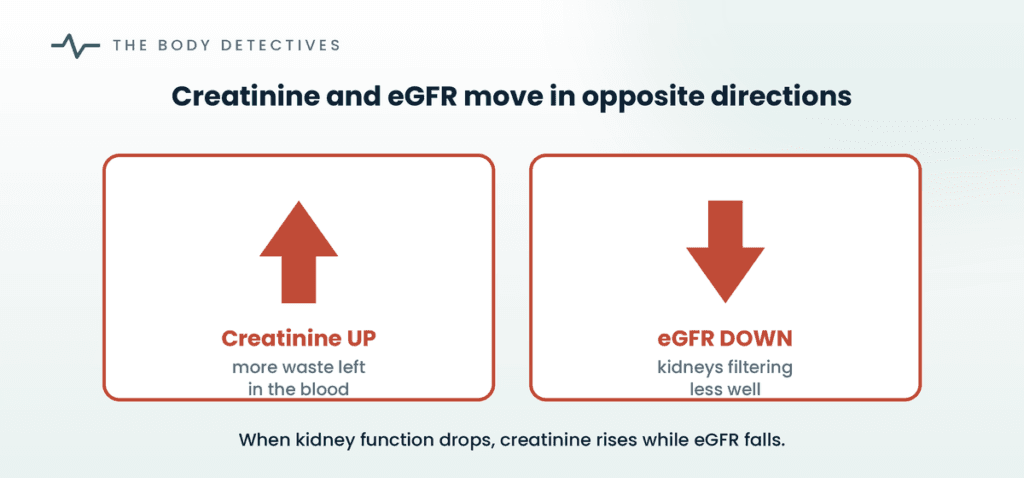 creatinine and eGFR diagram