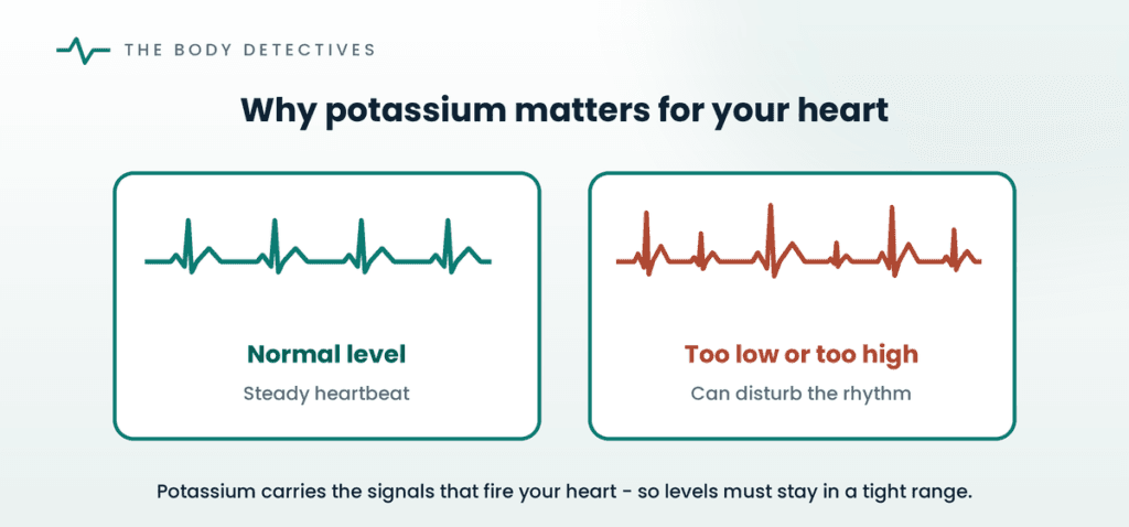 potassium and heart rhythm diagram