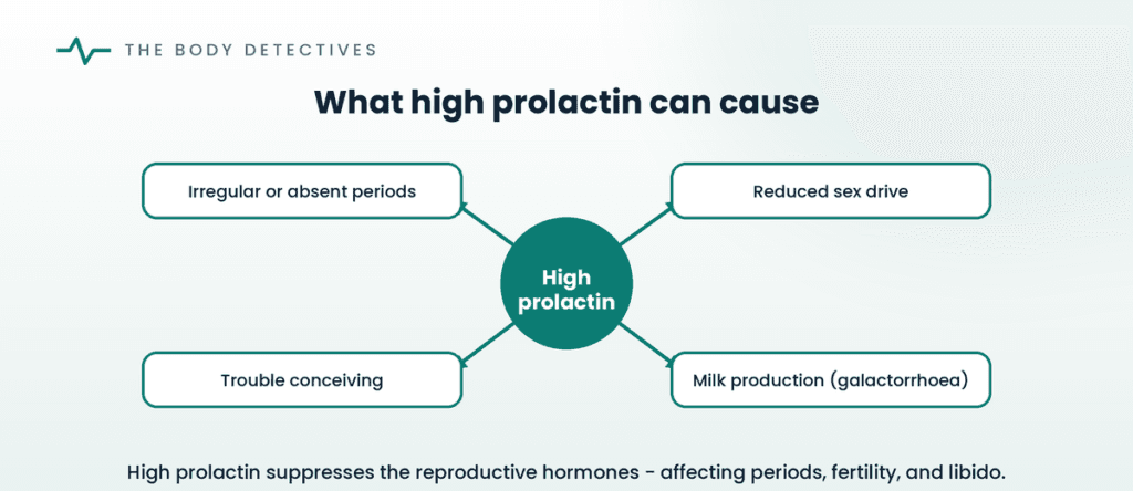 effects of high prolactin diagram