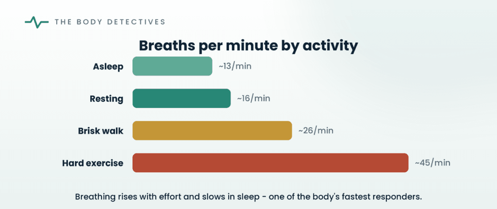 breaths per minute by activity chart