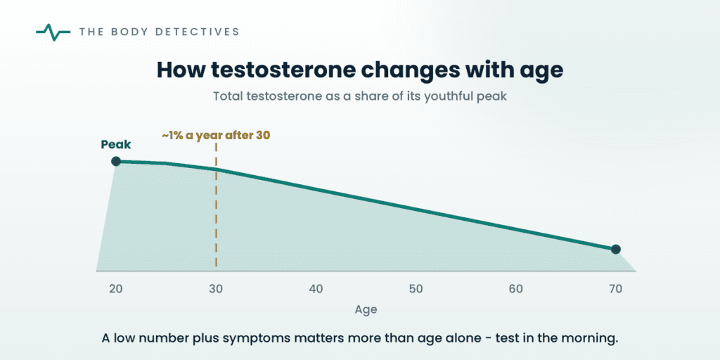 testosterone by age decline diagram