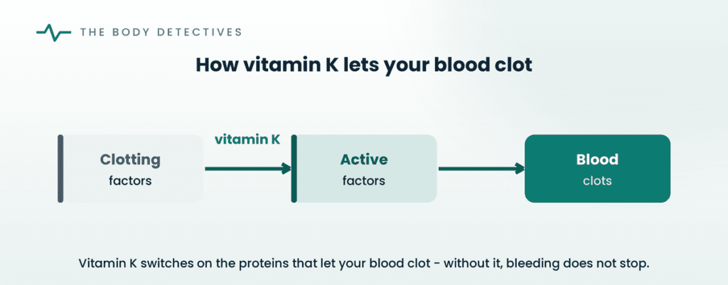 vitamin K blood clotting diagram