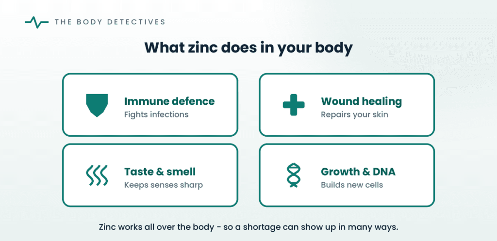 what zinc does in the body diagram