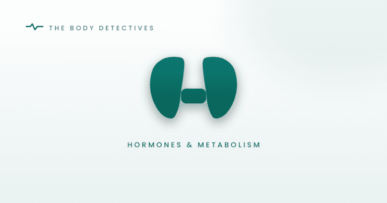 thyroid hormones