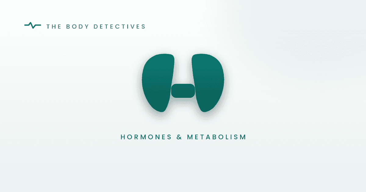 thyroid hormones