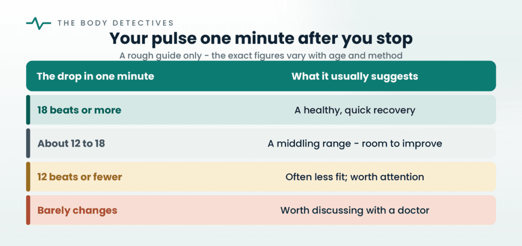 heart rate recovery one minute guide chart