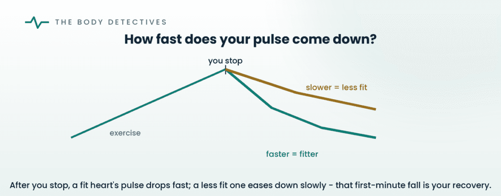 heart rate recovery curve diagram